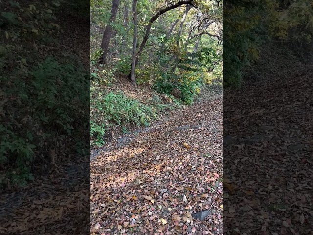 동탄반송동한의원. 능동한의원, 경희여울한의원, 능동은행사거리 #자율신경기능실조증 #만성통증 #가려움증