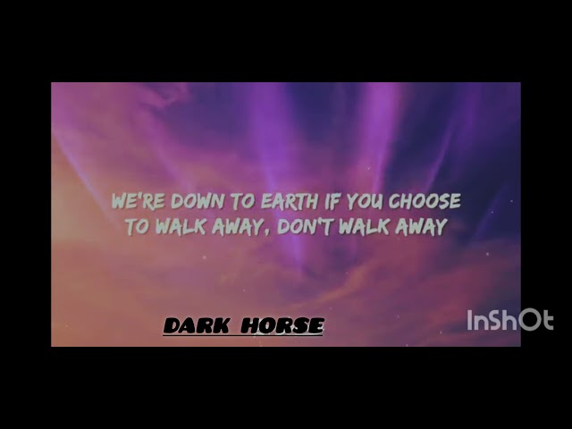 DARK HORSE -Katty perry《 lyrics》