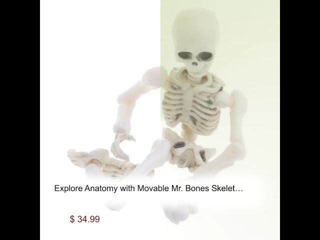 Explore Anatomy with Movable Mr. Bones Skeleton - Fully Articulated, Durable, & Lifelike Skeleton...