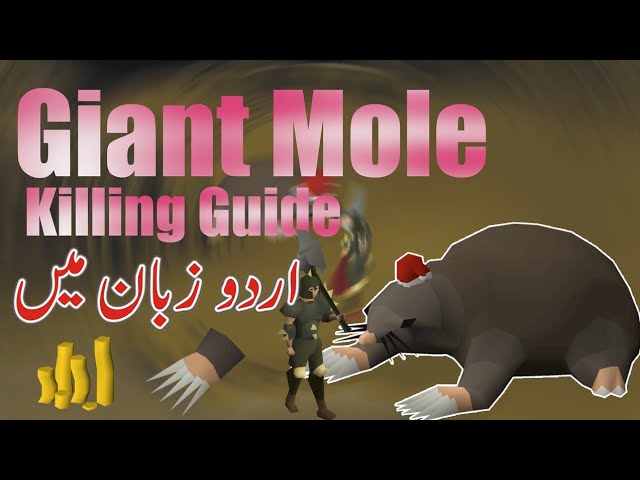 OSRS | Make 1+ M Per Hour | Giant Mole Killing Guide in Urdu/Hindi 2020 | OSRS Money Making Guide