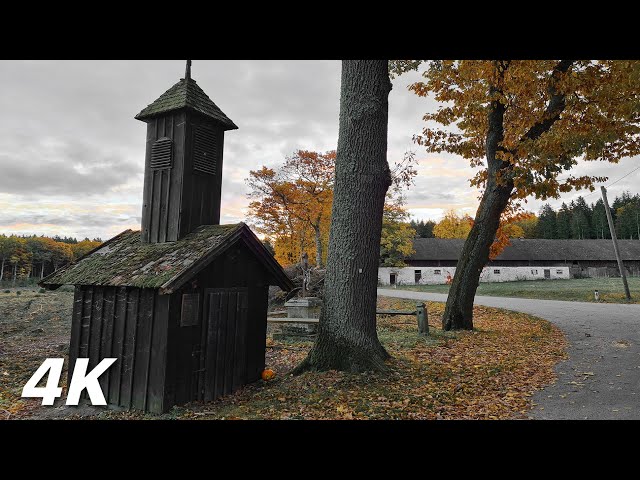 The Abandoned Village - Halloween Ambience Walk - Relaxing Spooky and Fall Nature Sounds Autumn