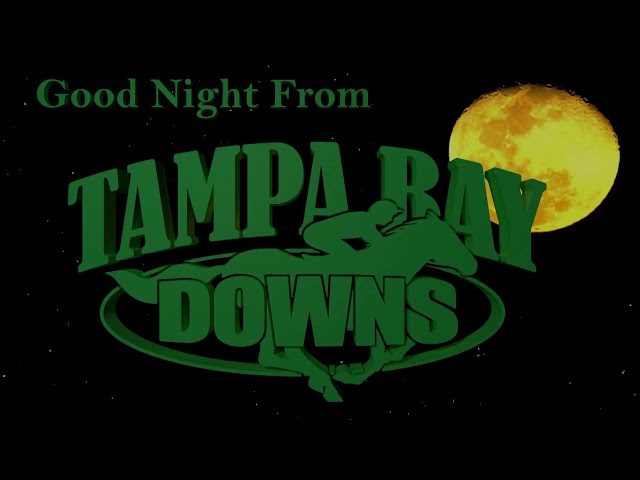 Tampa Bay Downs Live Stream