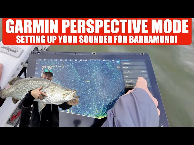 Garmin Perspective Mode Settings for BARRA