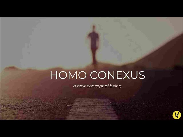 Homo Conexus - a new concept of being