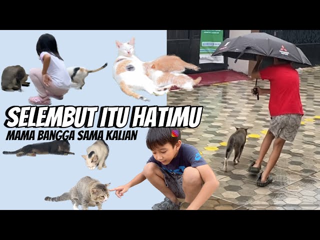 BELAJAR DARI KUCING | Beginilah Cara Induk Kucing Survei untuk Rumah Baru Bayi Kucingnya