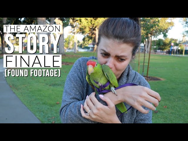 Releasing A Parrot Into the Wild