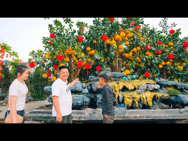 Unbelievable 12,000 USD Pomelo Tree - Exploring Saigon’s Ultimate Street Food Delights! | SAPA TV