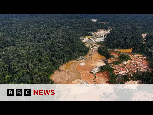 Climate change: Carbon dioxide rises more than ever in 2024 | BBC News