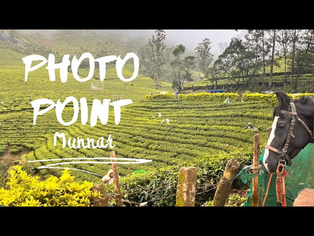 Photo Point | Munnar | Kannan Devan Hills | Kerala 360 degree VR Video