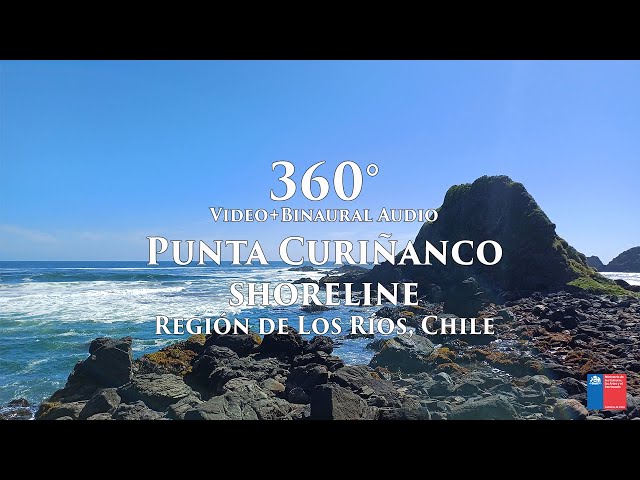 360 View of Punta Curiñanco Shoreline