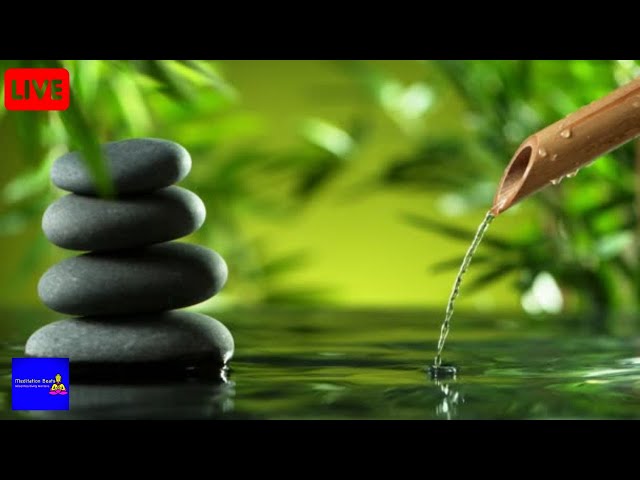 Relaxing Music, Sleep Music, Stress Relief Music, Spa, Meditation, Yoga, Zen, Sleeping Music