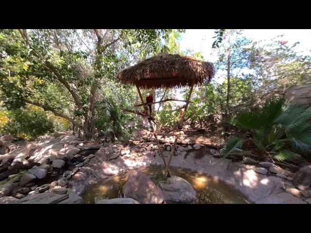 Toucans and Macaw at the Phoenix Zoo 2021 3D VR180 5.7k