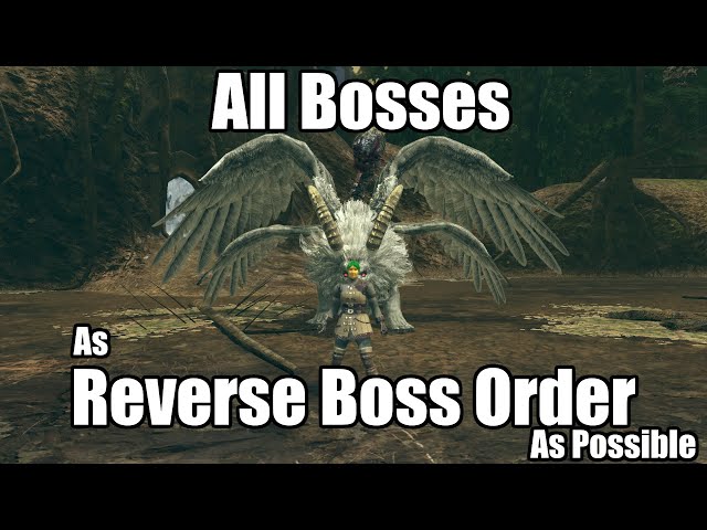 Beating Dark Souls in Reverse Boss Order (All Bosses)