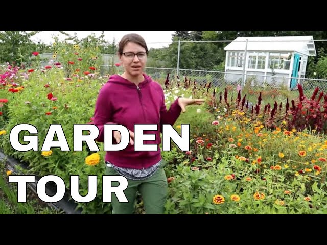 Fall on the Farm   September Garden Tour, Abundance, but for how long?