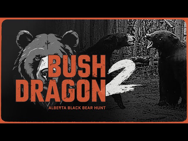 Bush Dragon 2 | Alberta Black Bear Hunt