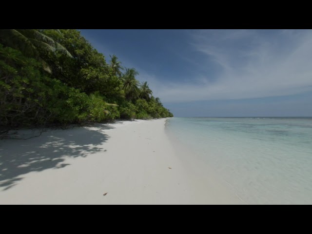 test 1 vr180 8k60 beach sandy maldives walking