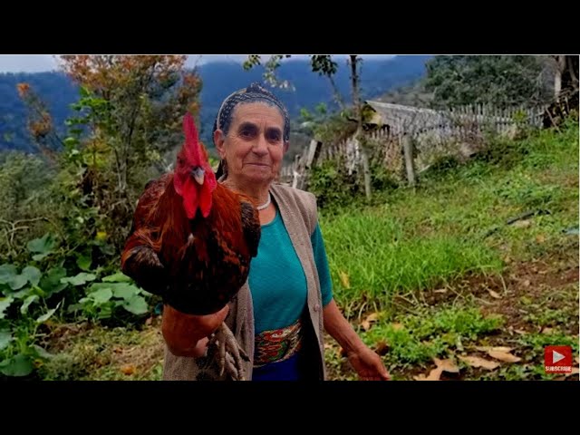 In the Village, Grandmother Cooked Delicious Rooster and Beans