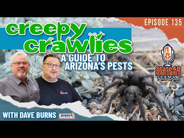 Creepy Crawlies: A Guide to Arizona's Pests | State 48 Homeowner Podcast Episode 135