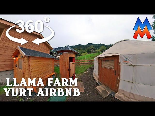 We Stayed in a Yurt on a Llama Farm in Liechtenstein - Airbnb 360 VR Tour