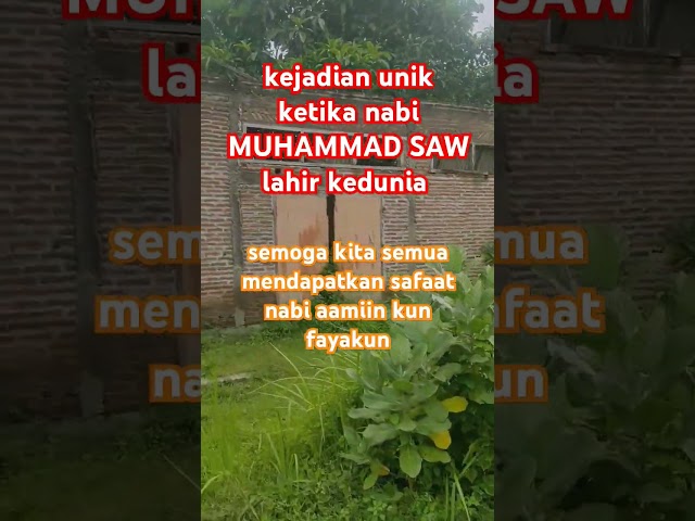 kejadian unik ketika nabi muhammad  lahir kedunia #kisah #faktaunik #faktadunia #nabimuhammad #fyp