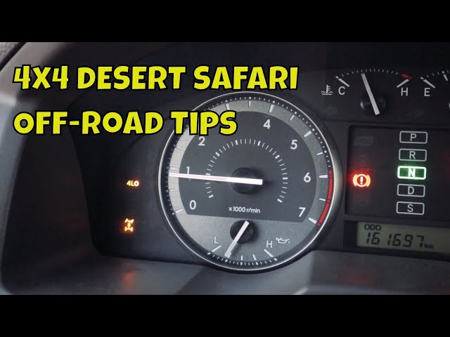 Off road tips for beginners | Doha Qatar | Desert safari | sealine beach resort