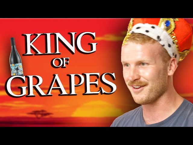 This Is The Best Wine?! (Blind Wine Tasting)