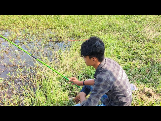 Jungle fishing in Tarito 2