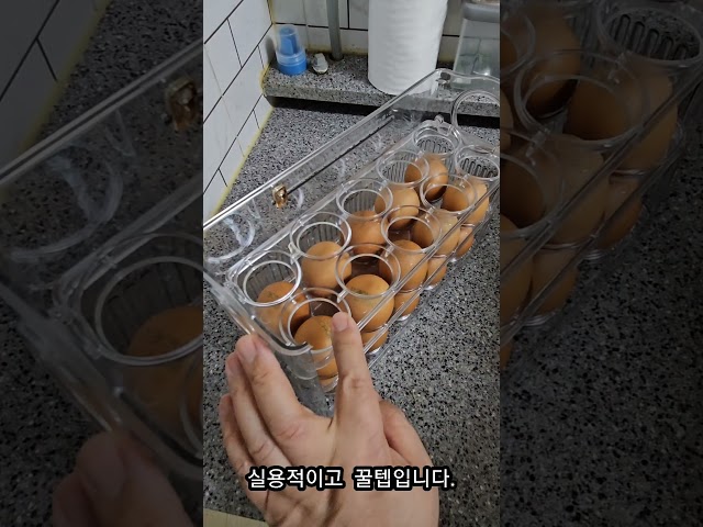 물어보는 쿠팡 꿀템?? /개란수납 / 정리함 / 살림템 /추천템 /리뷰