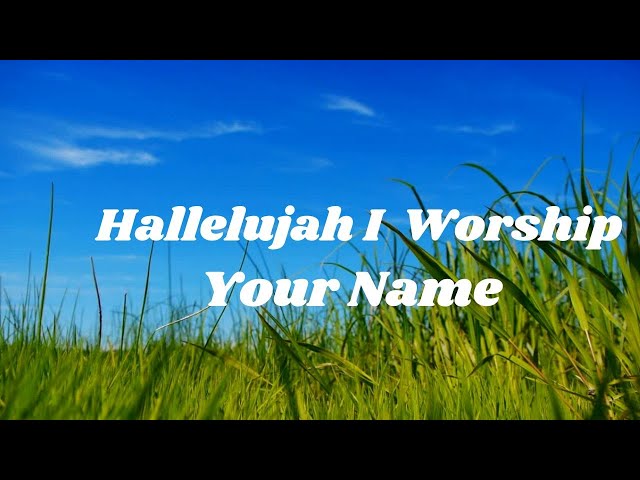 Hallelujah I Worship Your Name/Praise & Worship Songs/Christian Music #praise&worshipsongs  #music