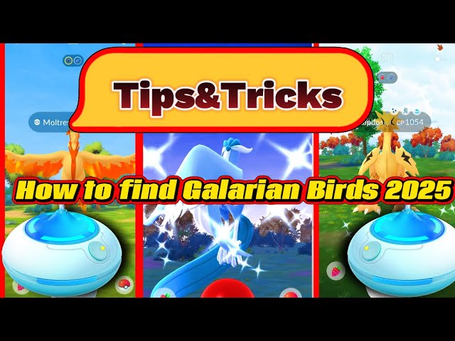 Ultimate HOW TO FIND GALARIAN BIRDS in 2025 Tips&Tricks!