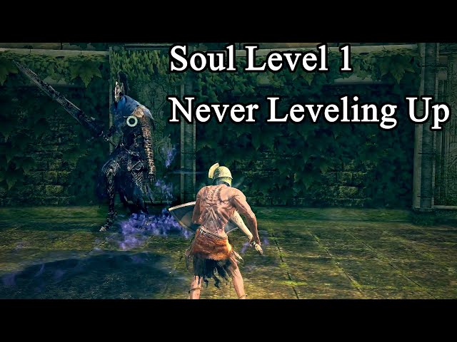 Soul level 1 Dark Souls ~ DLC (Hydra, Sanctuary Guardian, Artorias, Manus, And Gwyn/Finale)