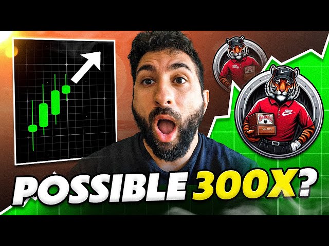 🐯 Tiger Backwoods Meme Coin: 10x Gains or Bust? 🚀