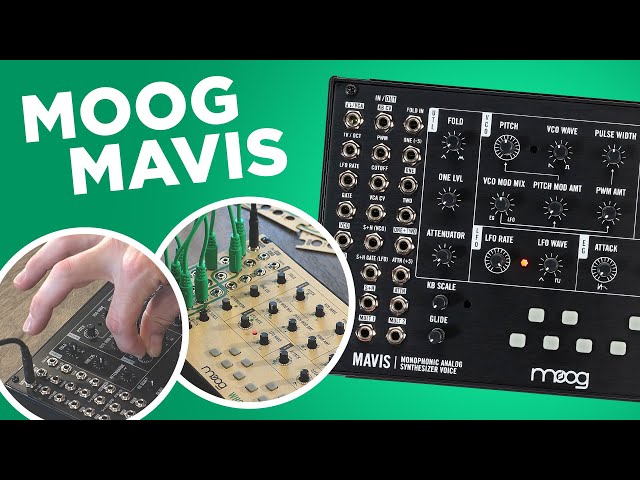 Moog Mavis Semi Modular Analog Synthesizer Voice : DIY Standalone Synth + Eurorack Module