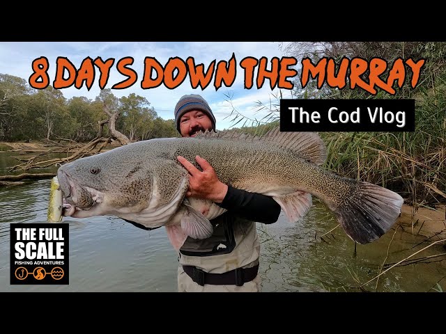 8 Days Down The Murray | The Murray Cod Vlog | The Full Scale