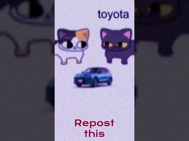 Meme toyota cat. #memes #toyota Thanks to @ho_salt