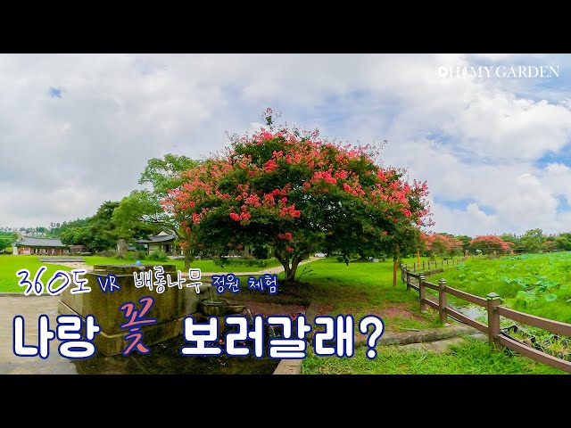 360º 정원 체험 🌳나랑 꽃 보러갈래 ? 🌳| '법화사' 배롱나무