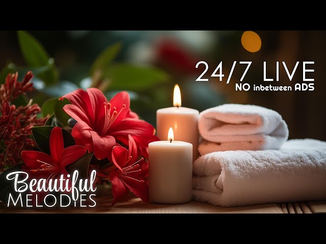 🔴 Relaxing Music 24/7, Stress Relief Music, Sleep Music, Meditation Music, Study, Calming Music