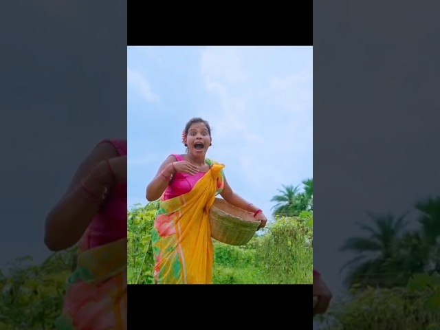 Jhinga Kumru New #Santhali Video / Pampa & Pradeep 2024