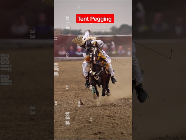 Super Speed Horse in Pakistan / Tent Pegging Championship 2025 / The Horse Riding #tentpegging