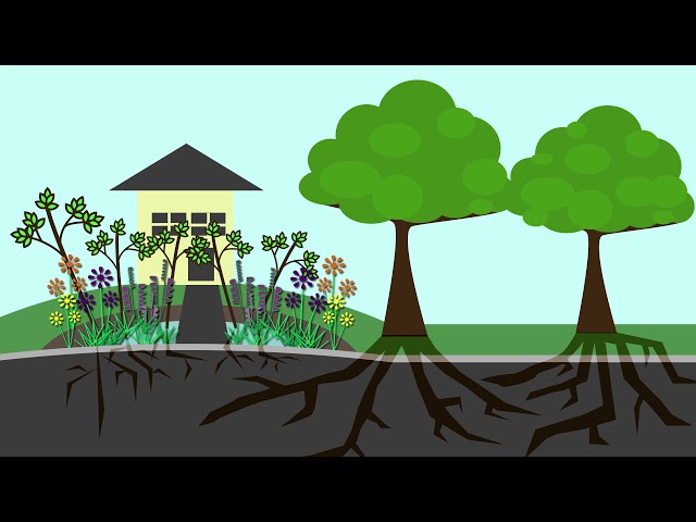 Rain Gardens 101 - Full Video