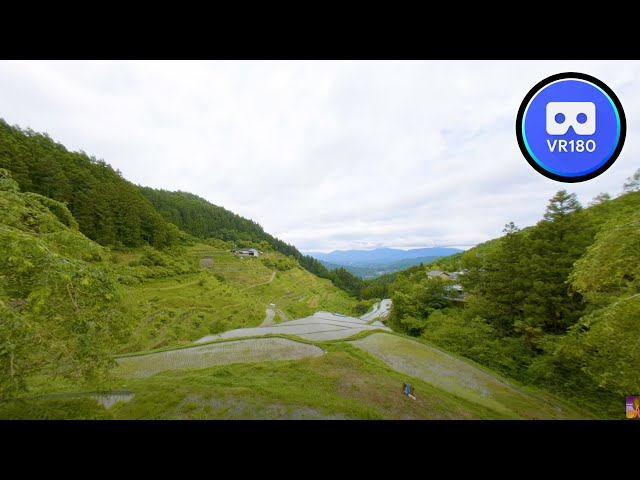 VR180 Trip Japan's amazing rice terraces 8K Video