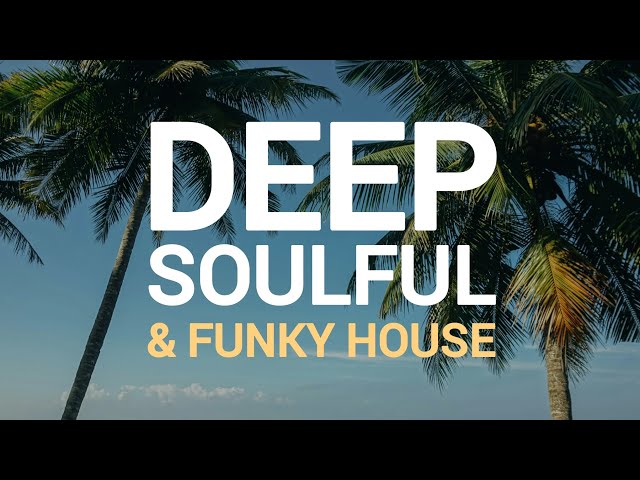 House Music Mix Vol.6 | Deep House, Soulful House & Funky House | Groove Culture