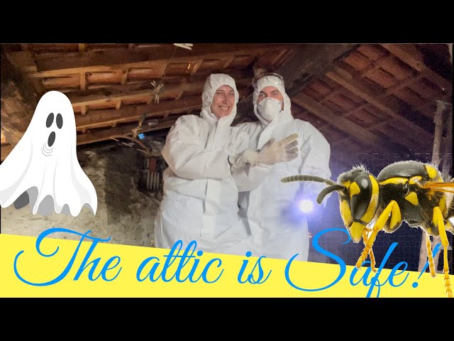 Day 9 of a big renovation\the attic is safe now!