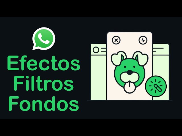 Efectos, Filtros y fondos en la cámara de WhatsApp