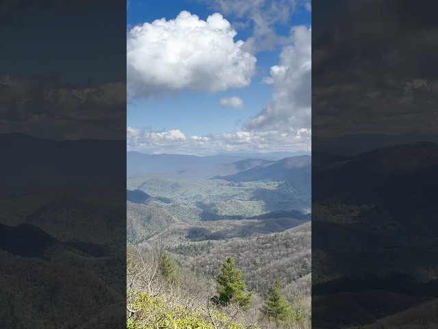 On top of Firescald Knob on the Appalachian Trail