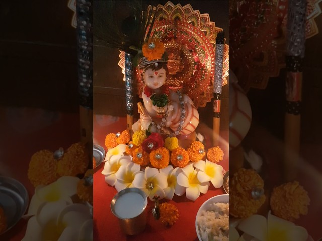 Shree krishna hare hare  #janmashtami decor#krishna puja#krishna devotional#vitthal#radhakrishna