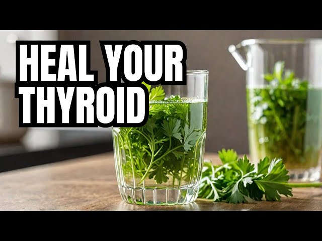 CURE Thyroid Problems With This SIMPLE Coriander Water Recipe?