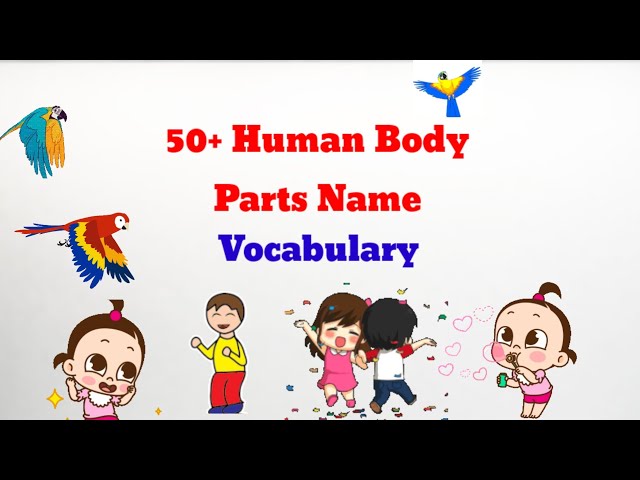 Parts of our Body | English Vocabulary | Name in English with Pictures | Fun & Easy Learning kids ok