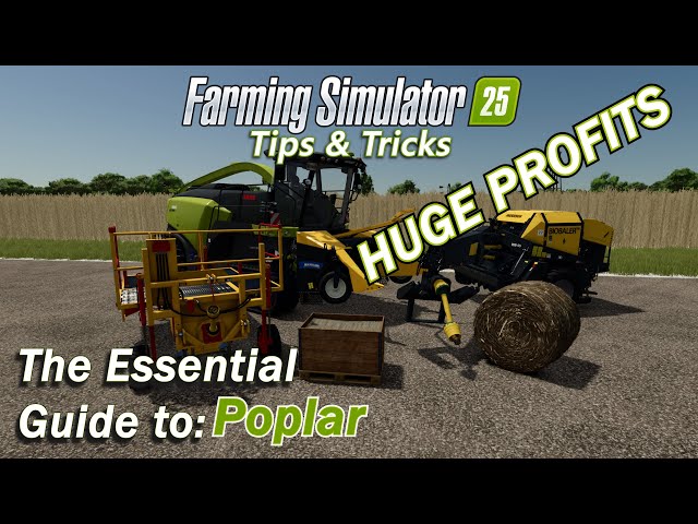 The Essential Guide to Poplar in Farming Simulator 25