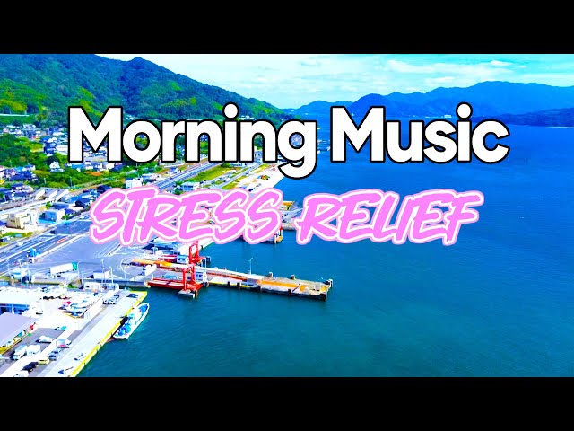 New Morning Music - Relaxing Rhumba Cha Cha Cha Guitar Instrumental Melody - Stress Relief Boost